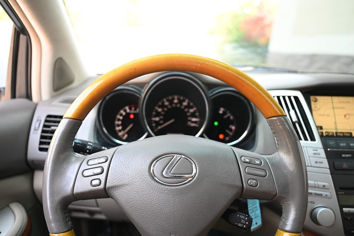 2007 Lexus RX 350 photo 21