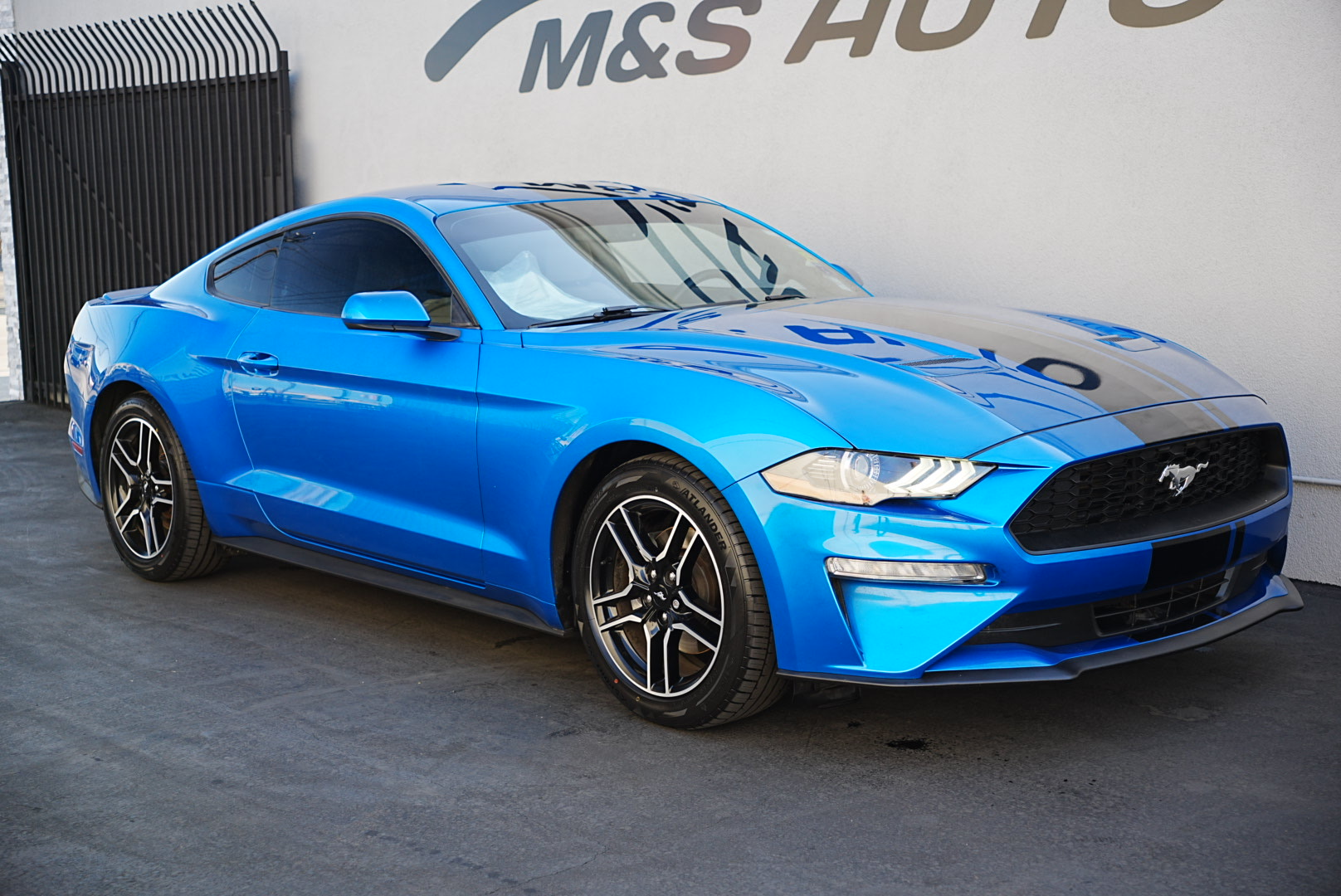 2019 Ford Mustang EcoBoost photo 3