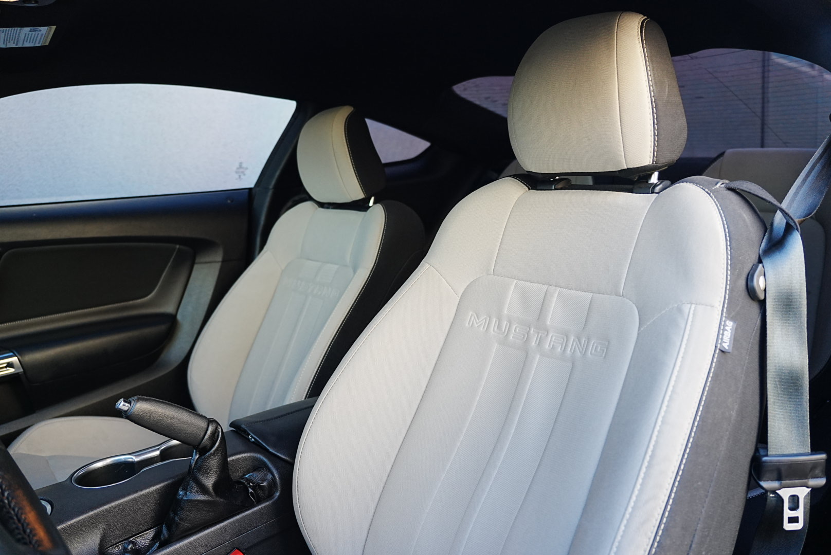 2019 Ford Mustang EcoBoost photo 12