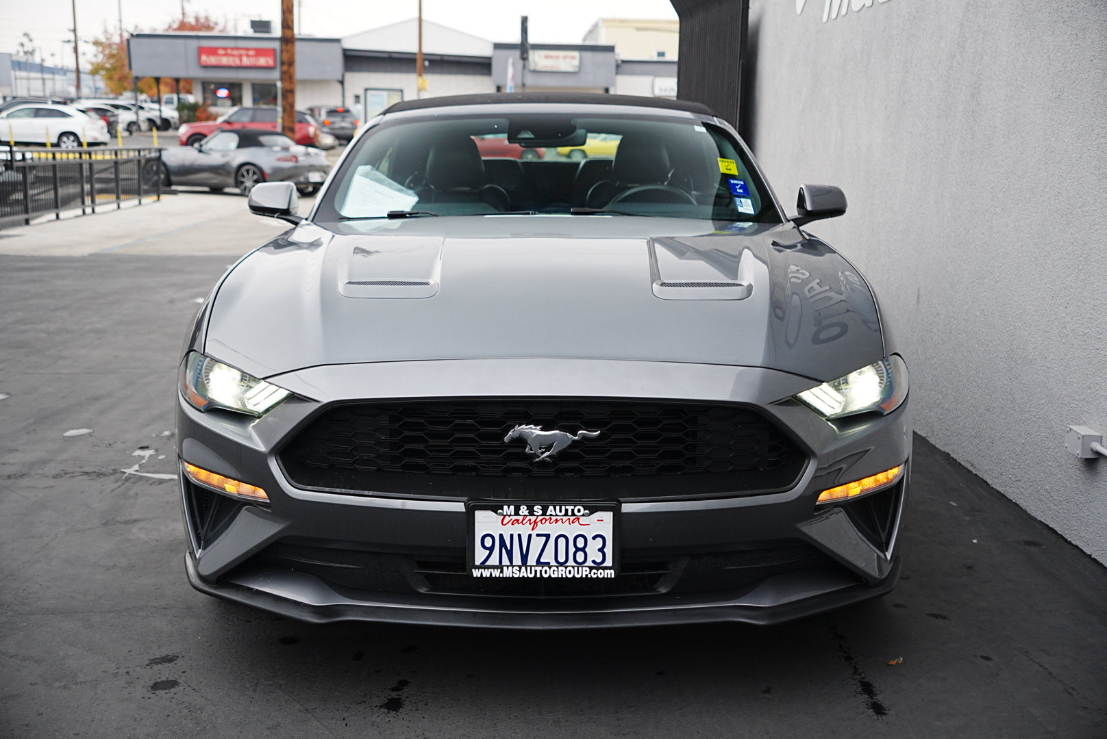 2016 Ford Mustang EcoBoost photo 2