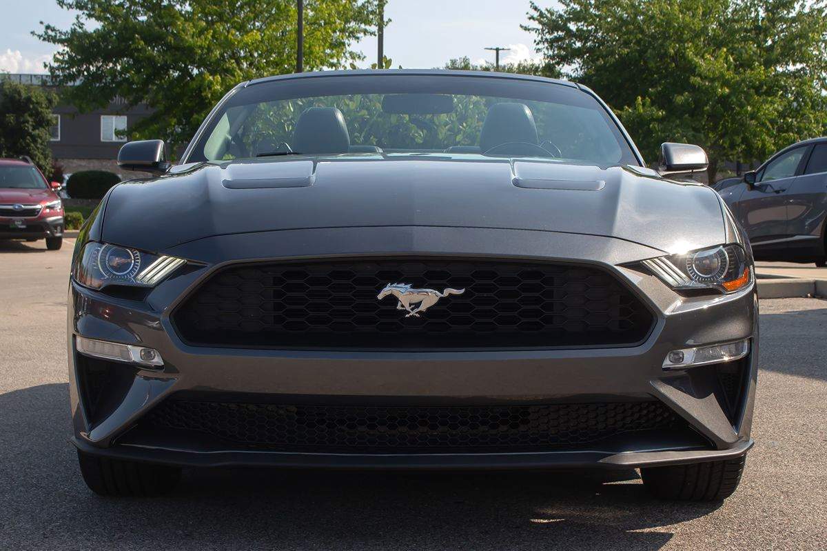 2019 Ford Mustang EcoBoost Premium Convertible photo 3