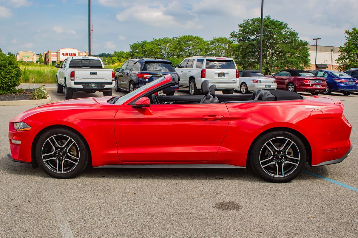 2019 Ford Mustang EcoBoost Premium photo 4