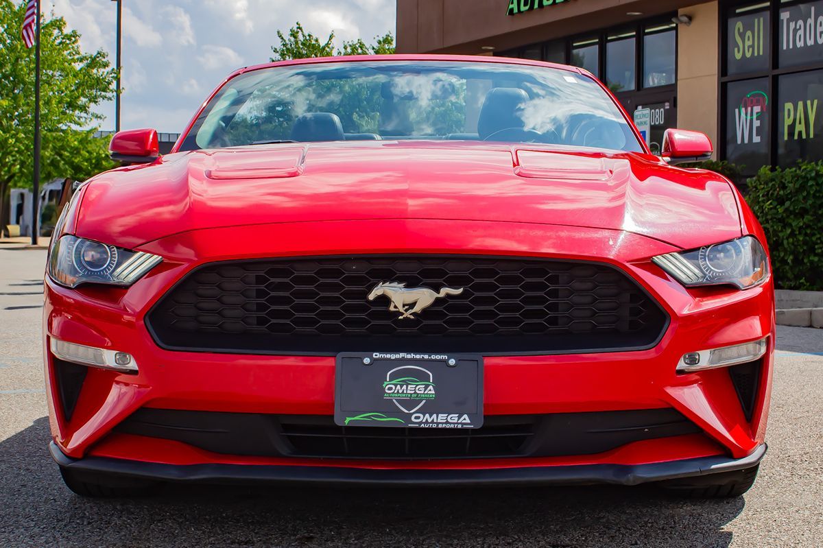 2019 Ford Mustang EcoBoost Premium photo 2