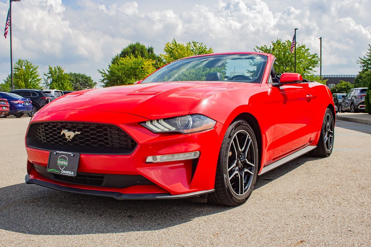 2019 Ford Mustang EcoBoost Premium photo 3