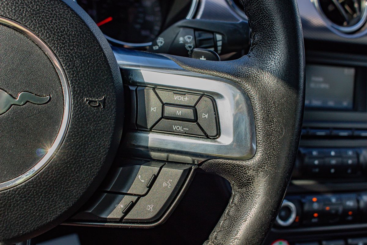 Image #21