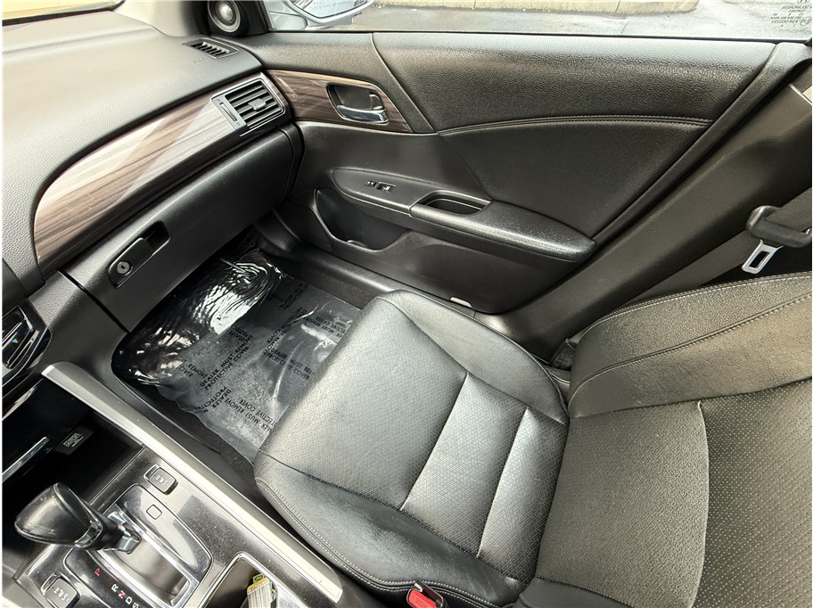Image #12
