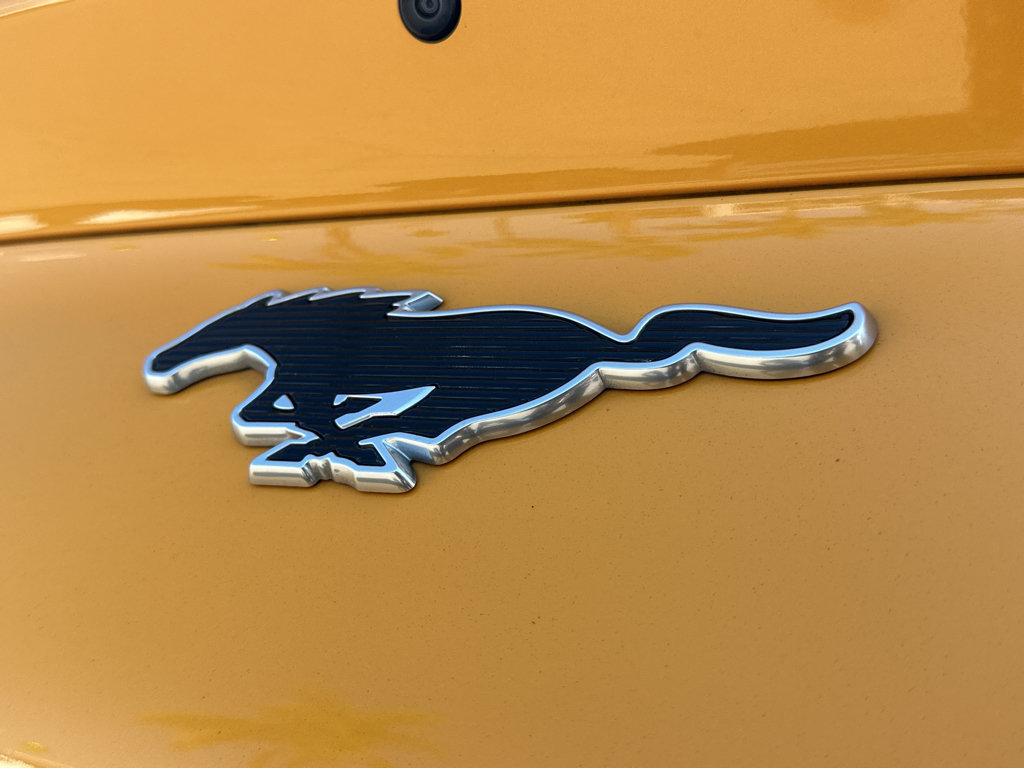 Ford Mustang Mach-E photo 37