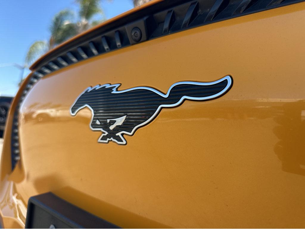 Ford Mustang Mach-E photo 43