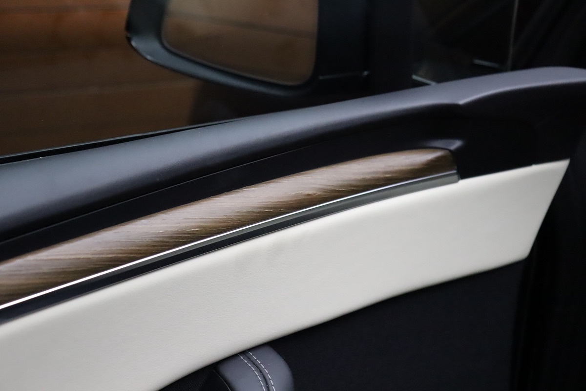 2022 Tesla Model X photo 31