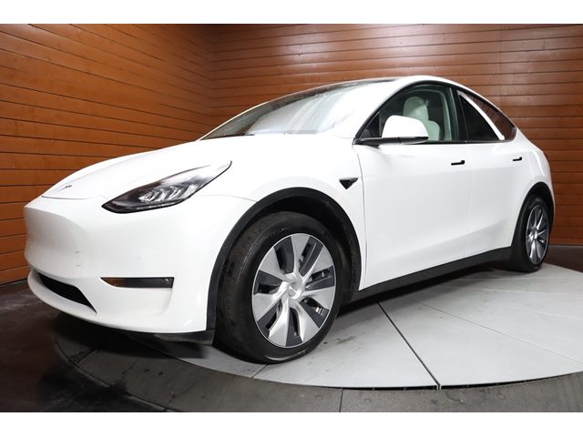 Pearl White Multi-Coat 2022 Tesla Model Y Long Range AWD SUV / Crossover All-Wheel Drive Automatic