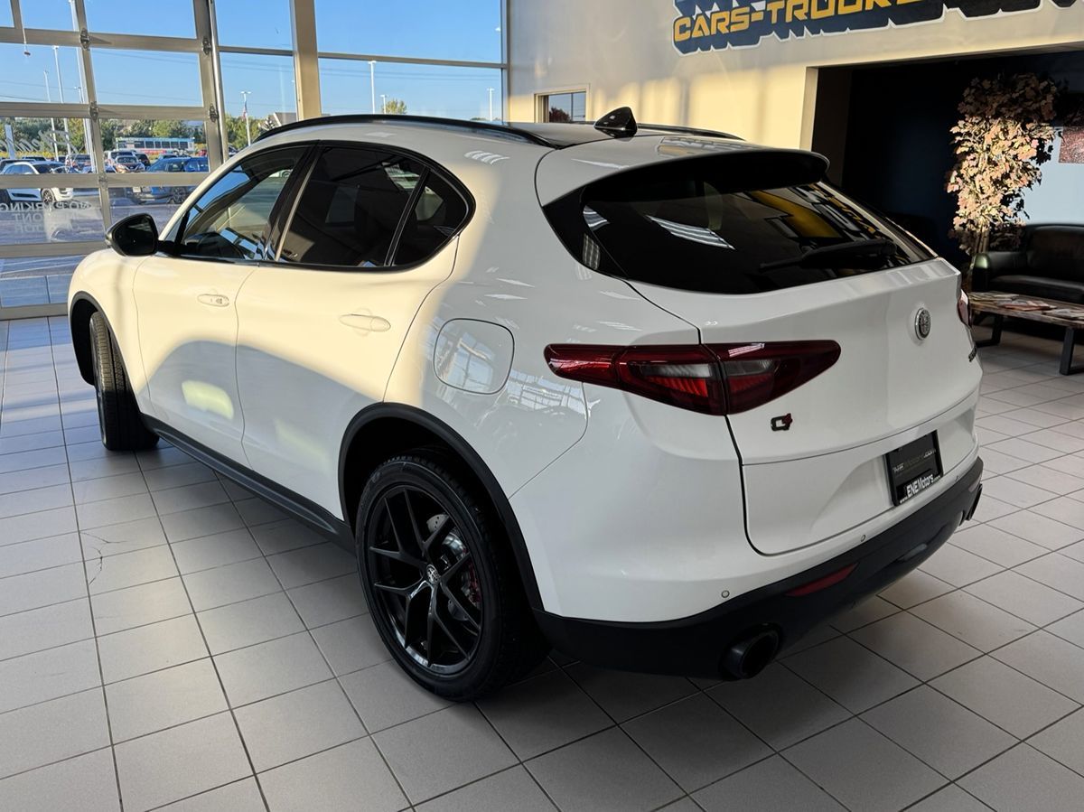 2019 Alfa Romeo Stelvio Ti Sport photo 2