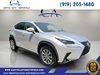 2019 Lexus NX 300 F SPORT