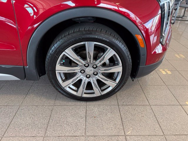 Image #10