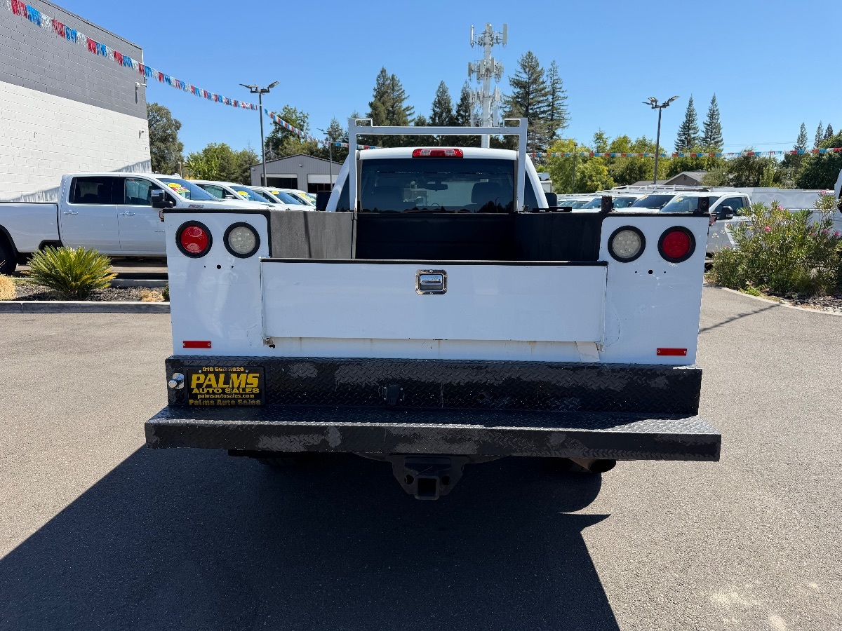 Image #7