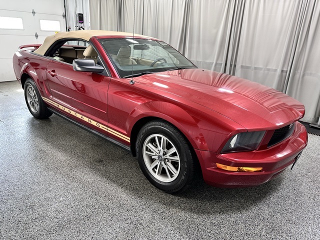 2005 Ford Mustang V6 photo 3