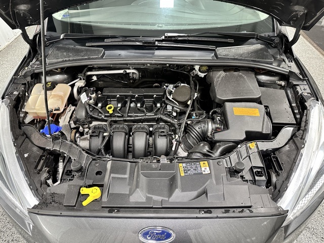 2015 Ford Focus SE photo 19