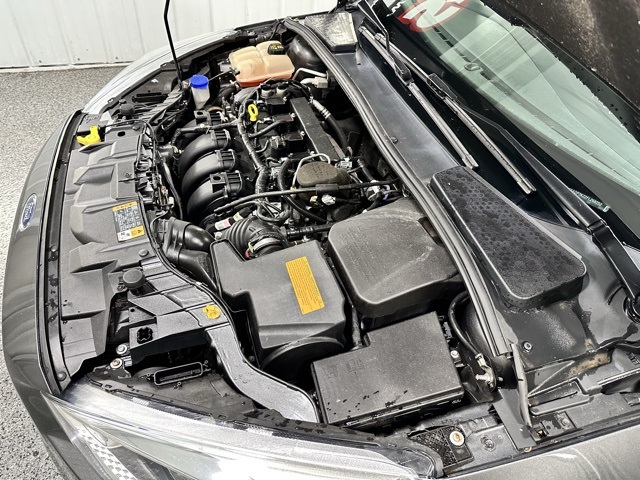 2015 Ford Focus SE photo 20