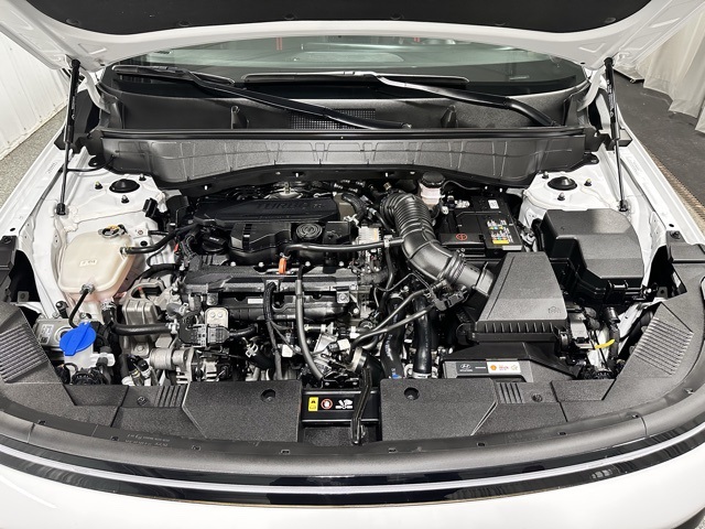 2024 Hyundai Kona N Line photo 21