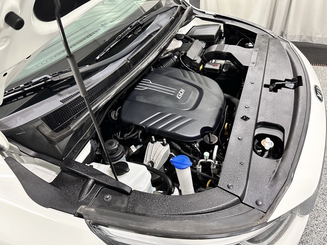 2017 Kia Sedona LX photo 24
