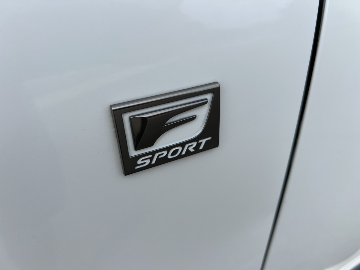 2015 Lexus RX 350 F SPORT photo 9