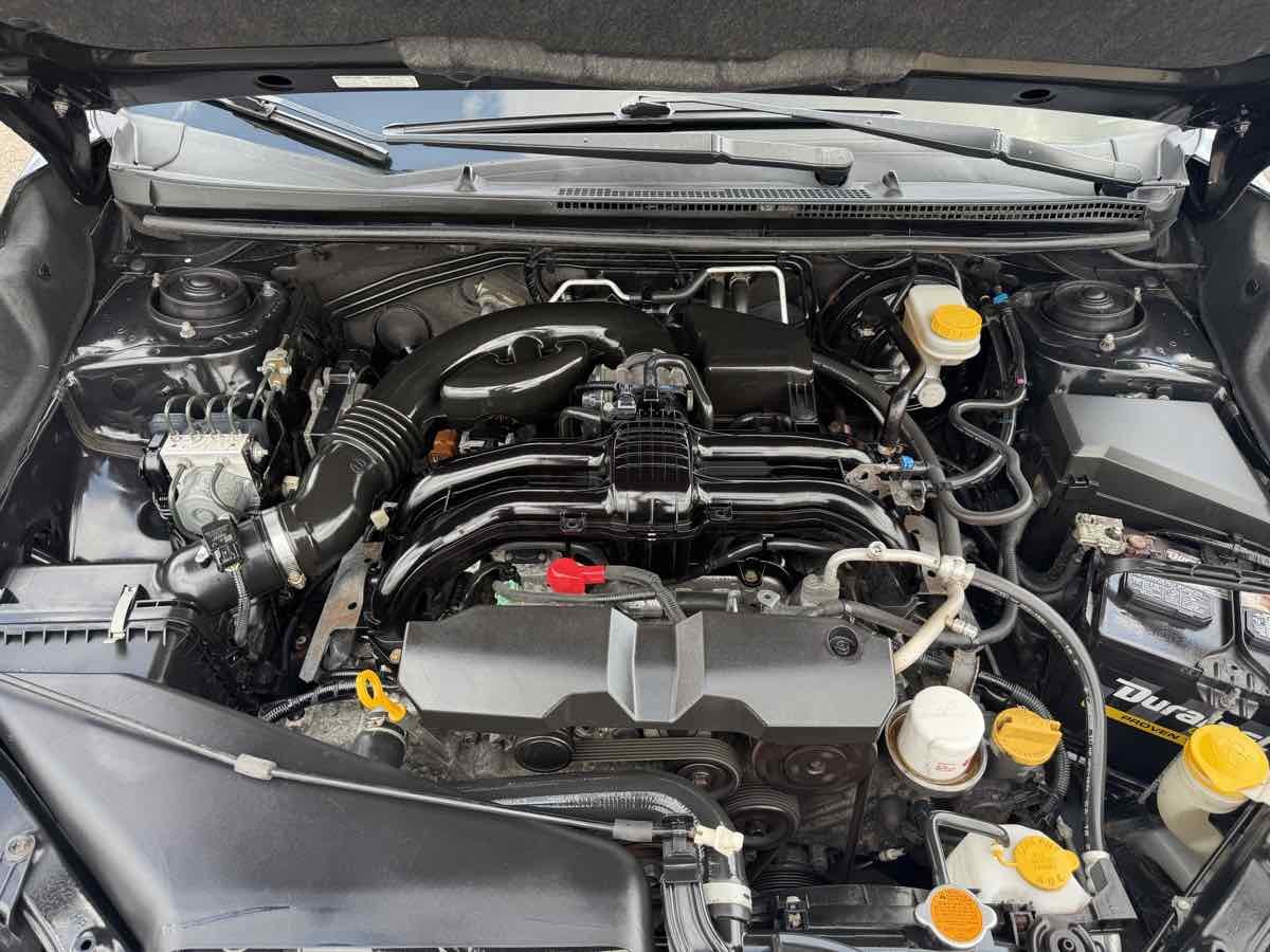 Image #21