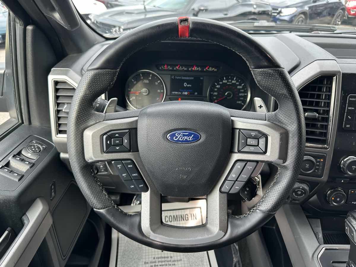 2018 Ford F-150 Raptor photo 19