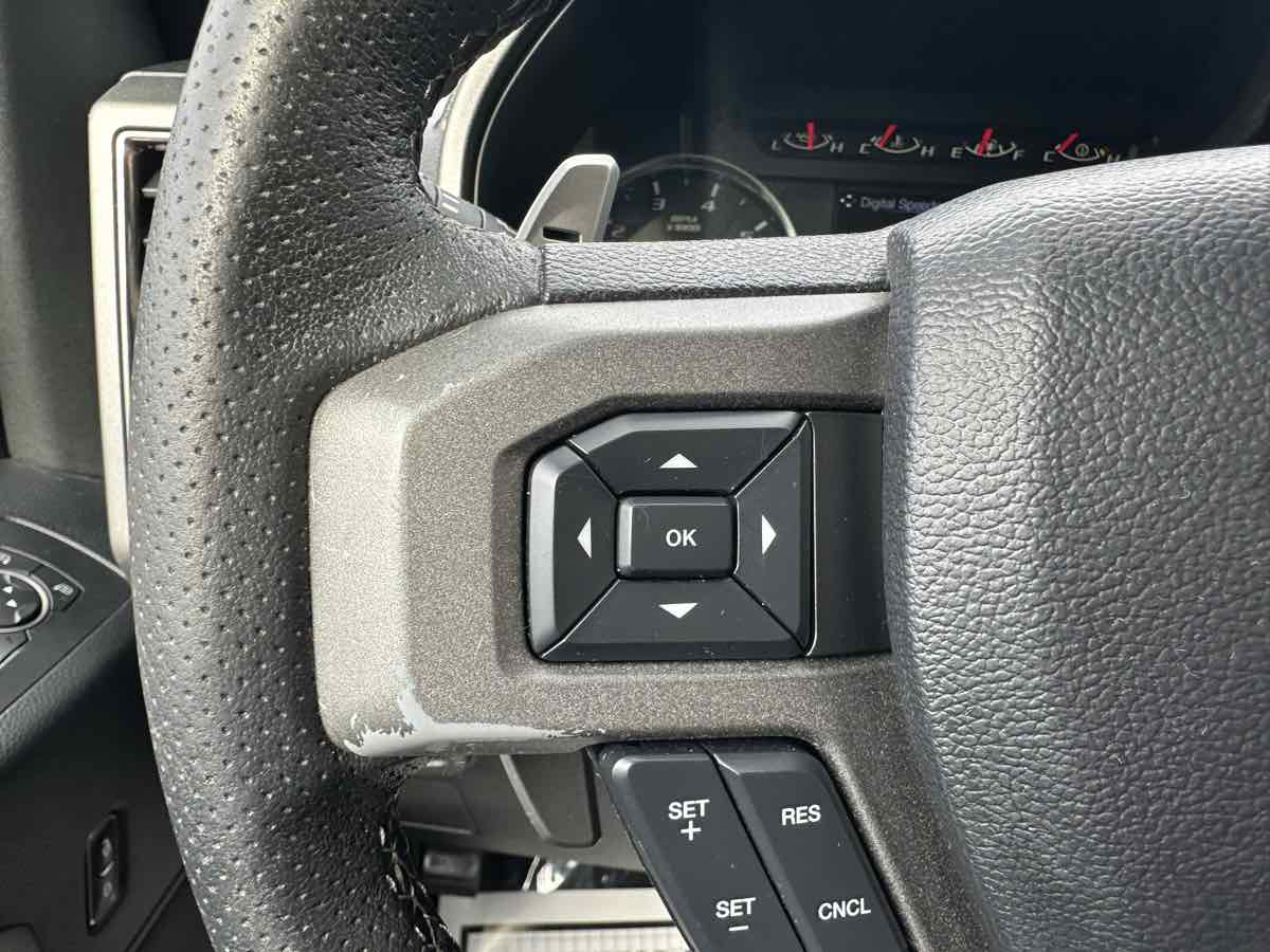 2018 Ford F-150 Raptor photo 20