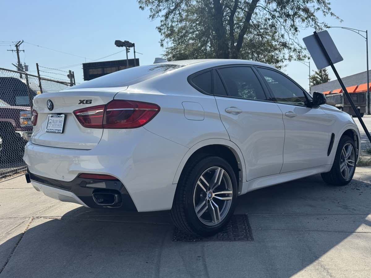 2017 Bmw X6 xDrive35i photo 5