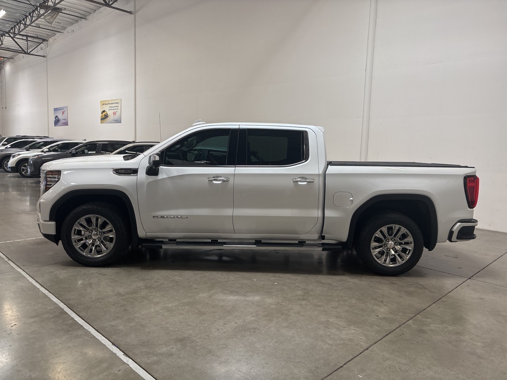 2023 Gmc Sierra 1500 Denali photo 2