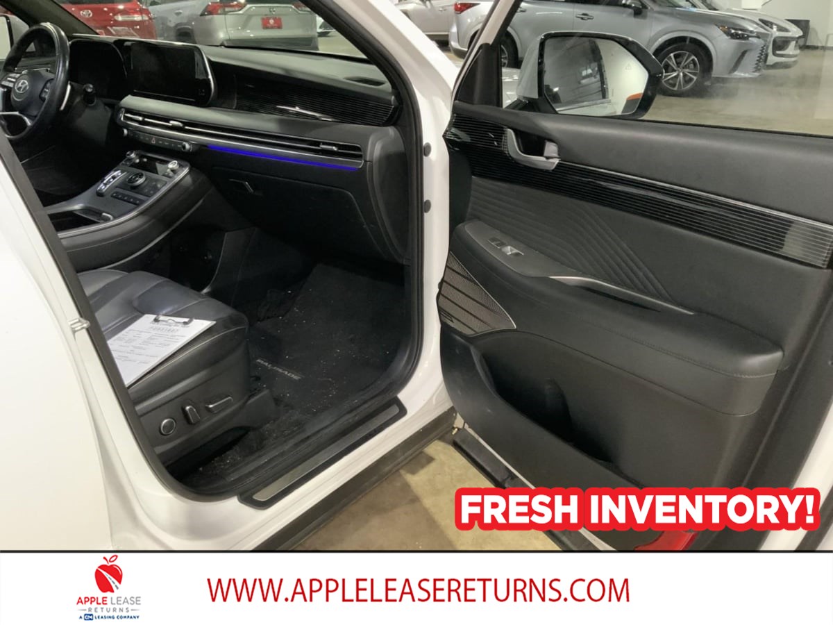 Hyundai Palisade photo 10