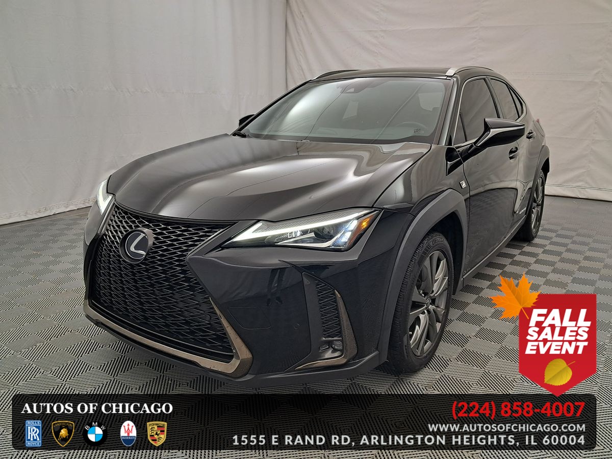 2019 Lexus UX Hybrid