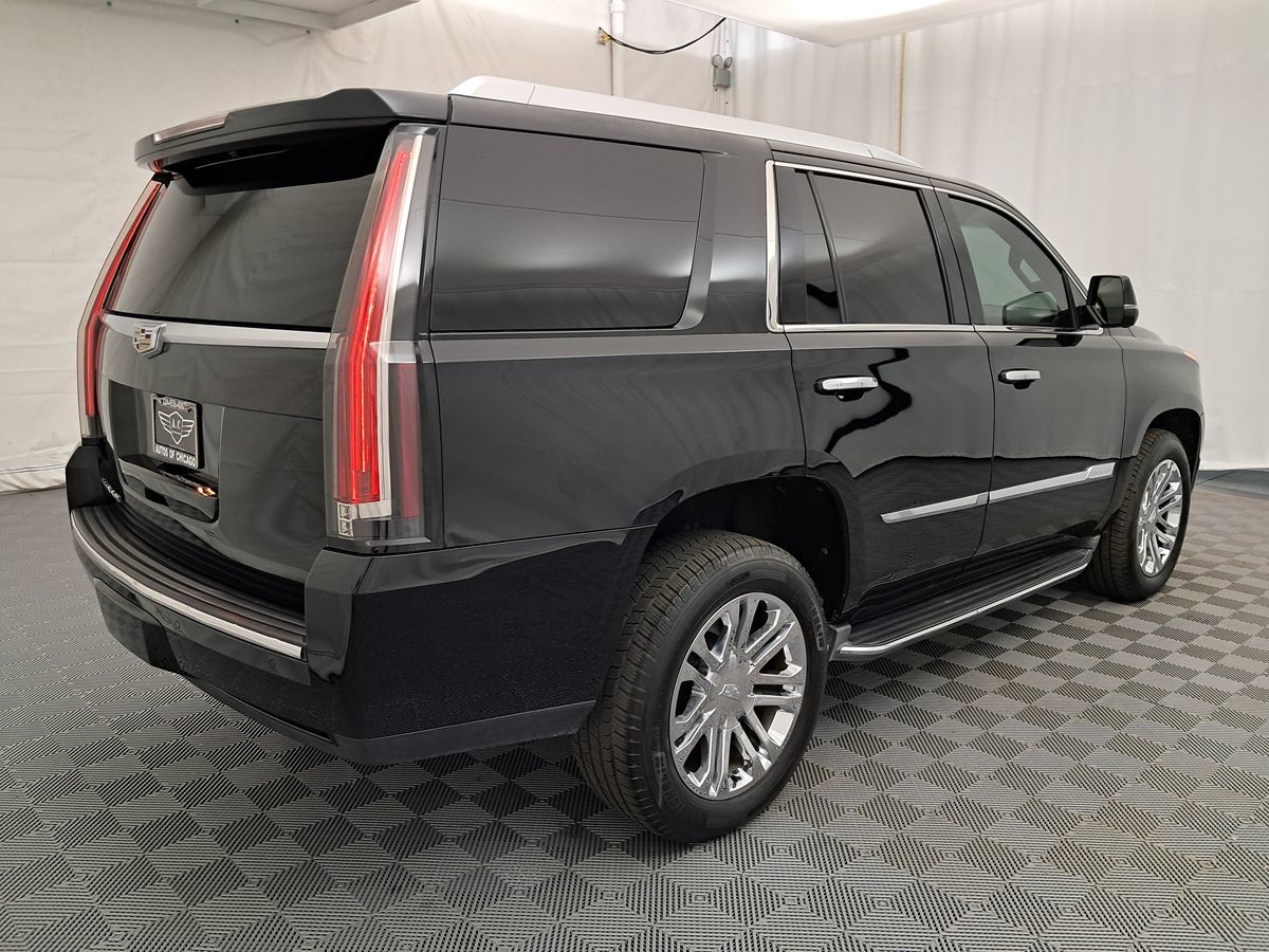 2016 Cadillac Escalade Standard photo 4