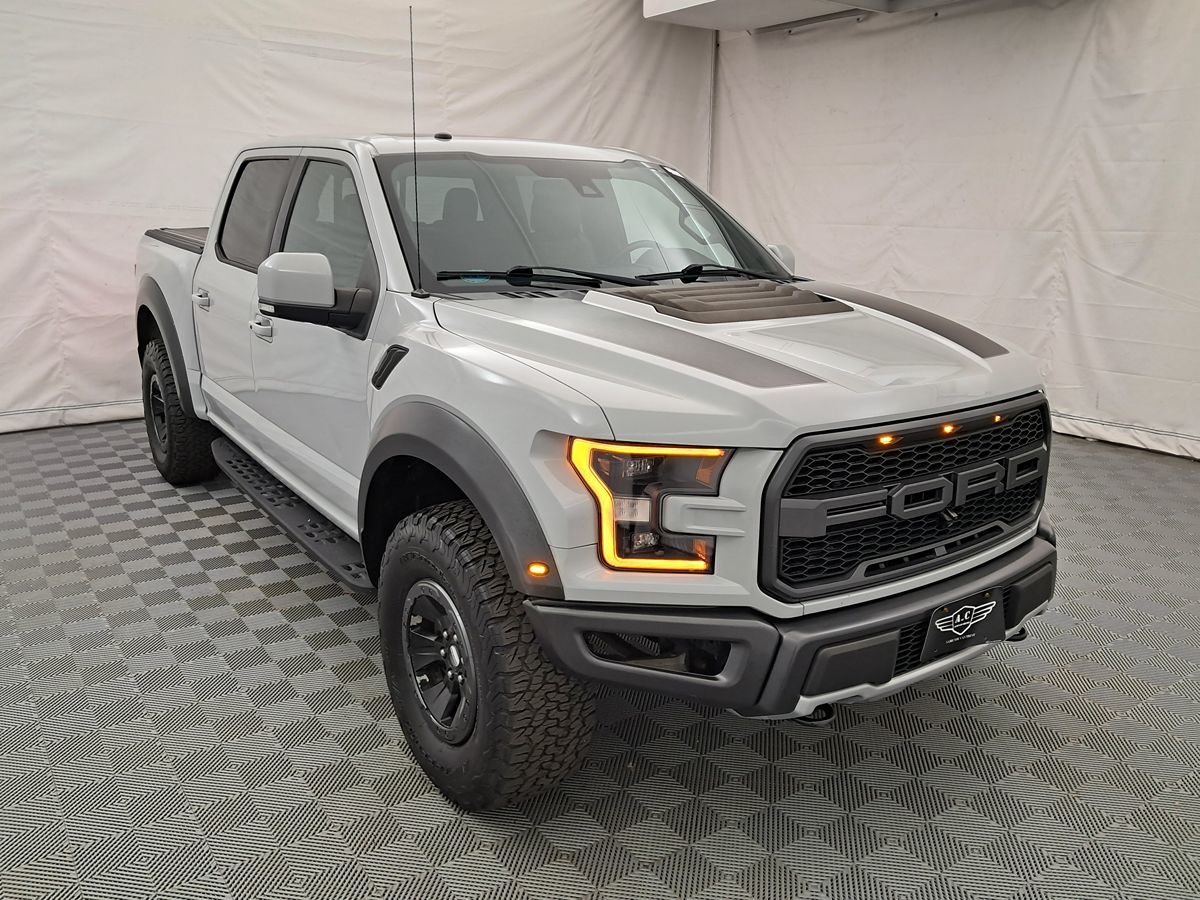 2017 Ford F-150 Raptor photo 3