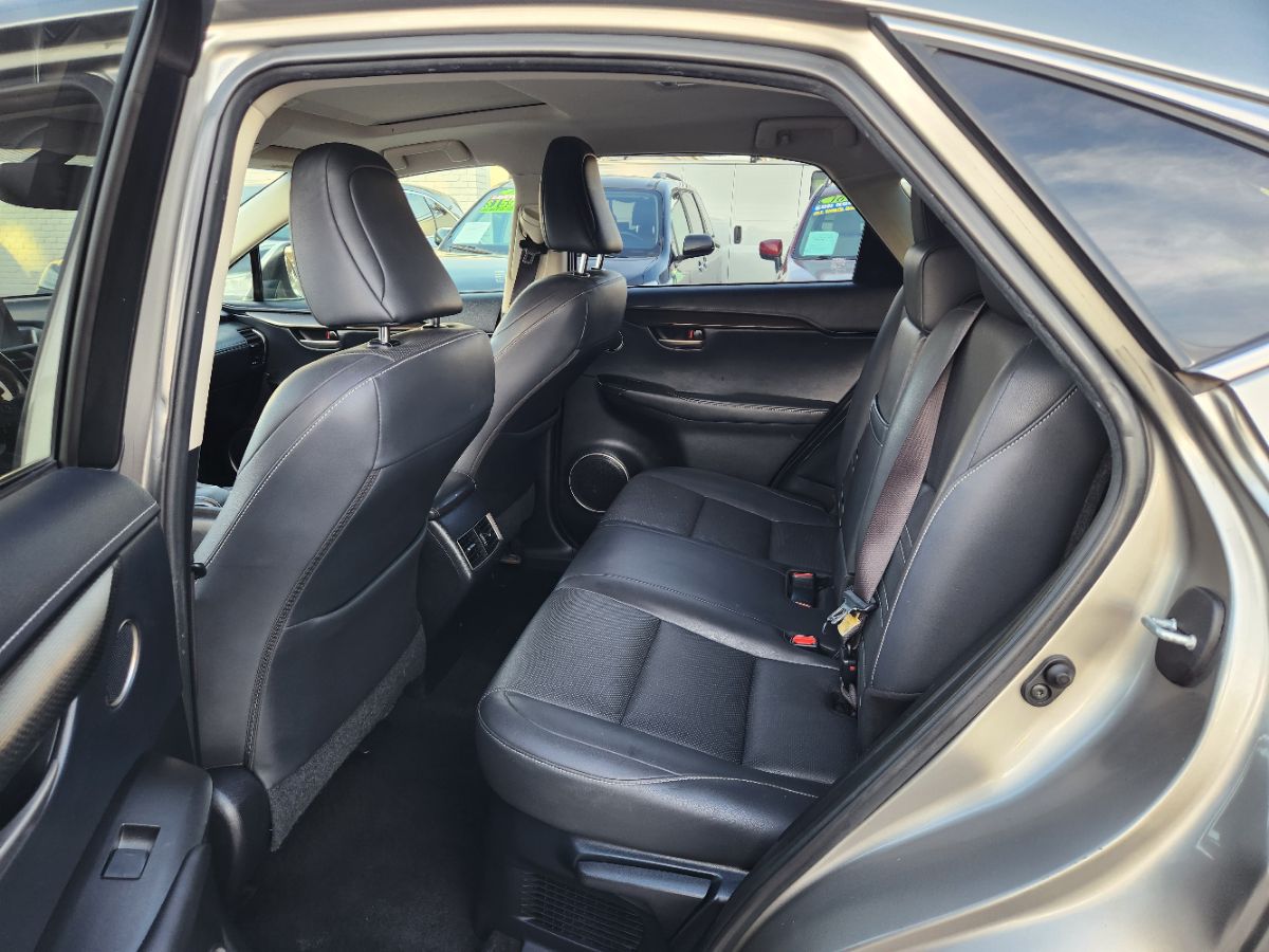 Image #10