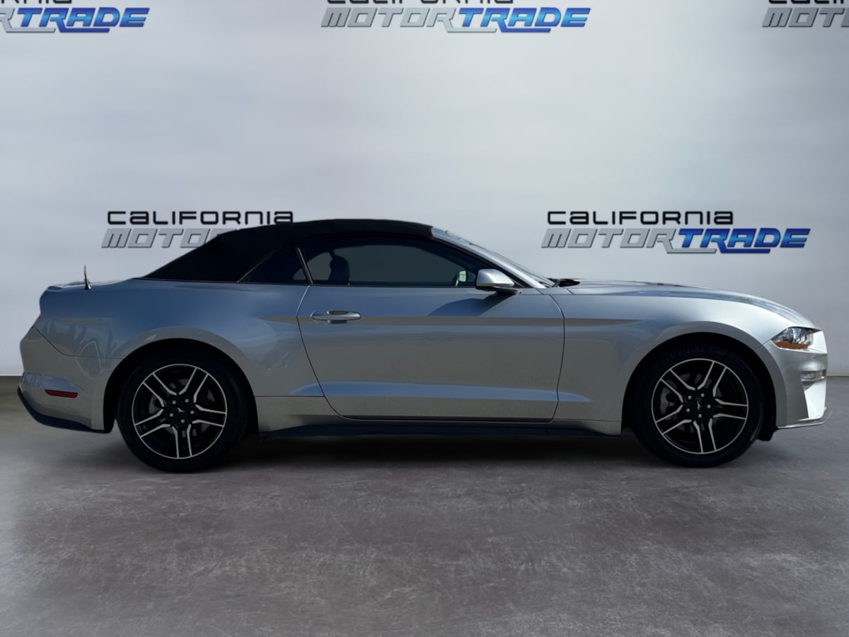 2023 Ford Mustang EcoBoost Premium photo 4