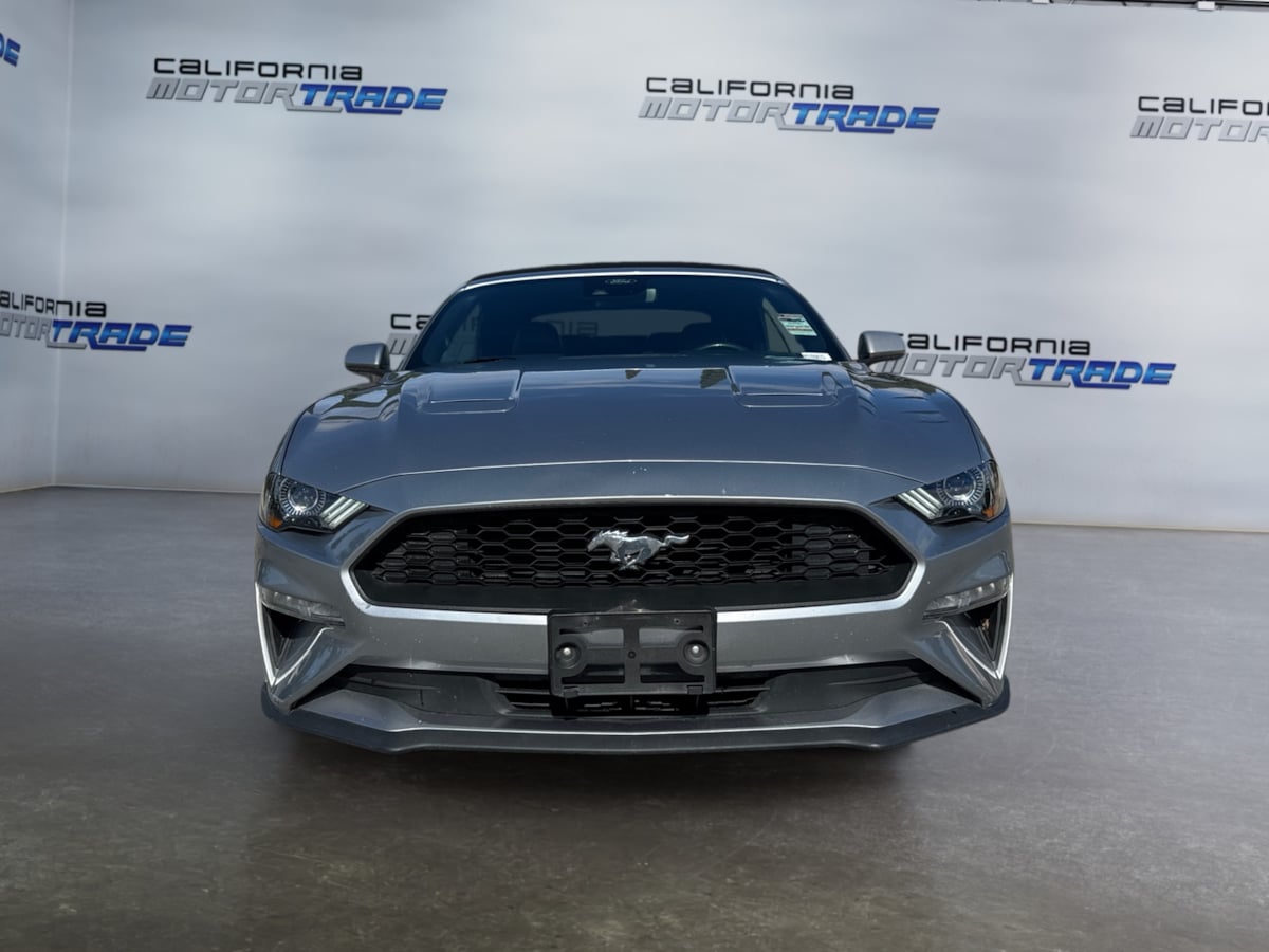 2023 Ford Mustang EcoBoost Premium photo 2