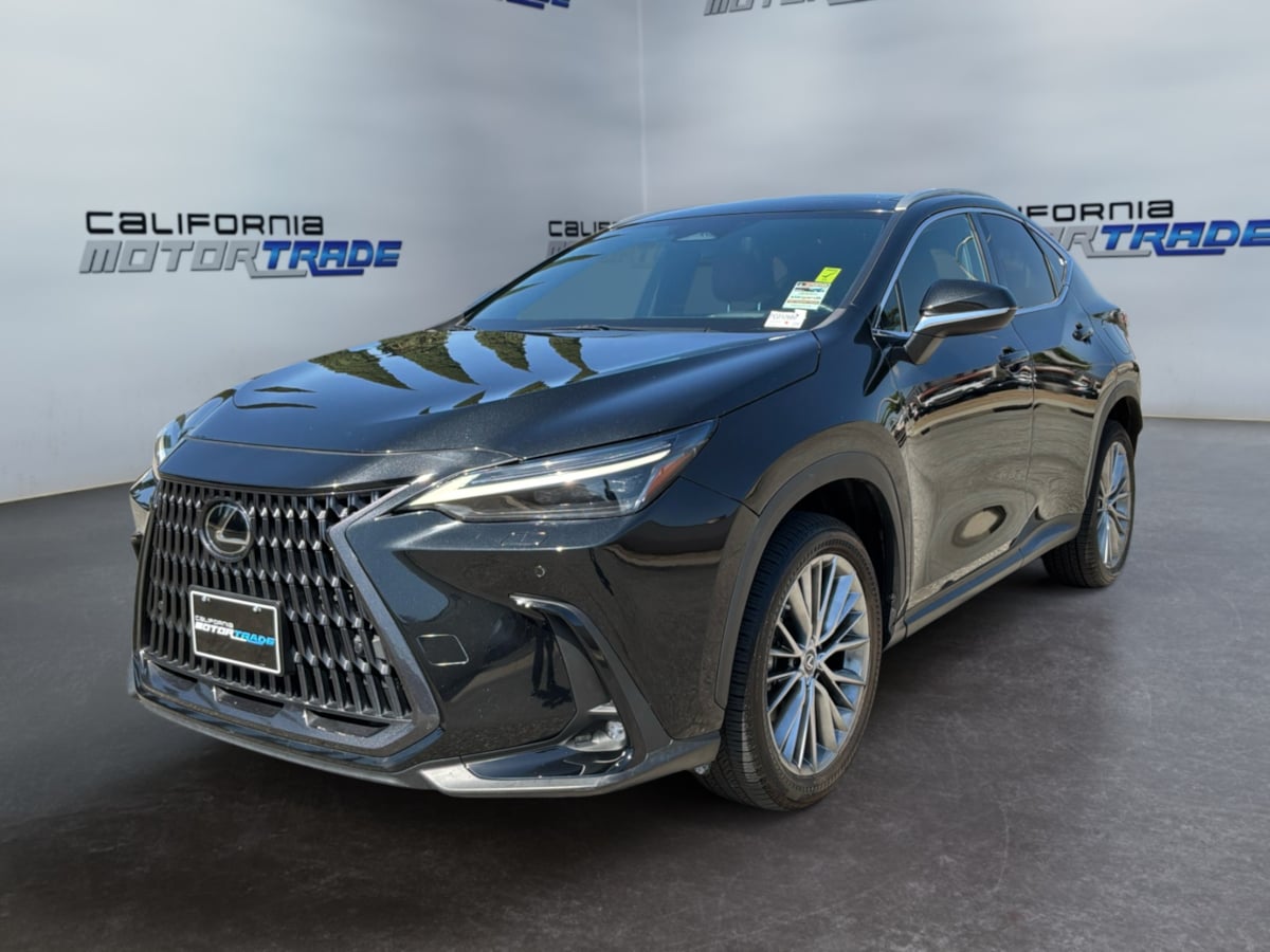 Lexus NX photo 23
