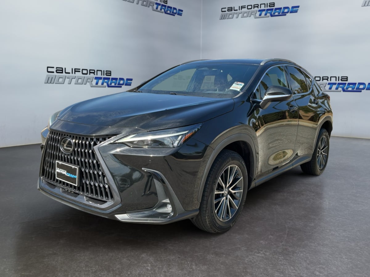 Lexus NX photo 27