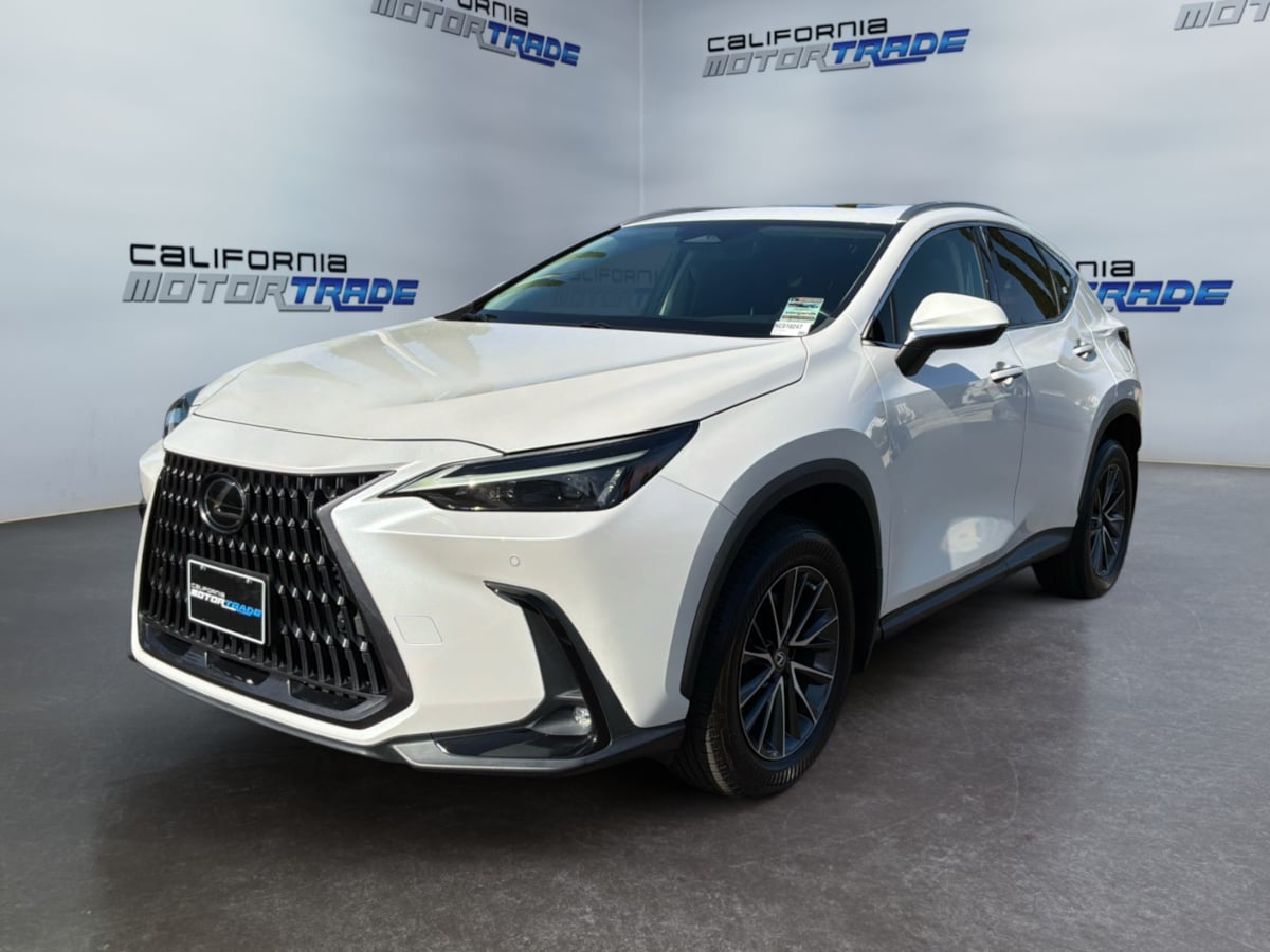 Lexus NX photo 25