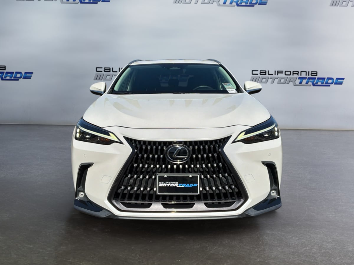 Lexus NX photo 2