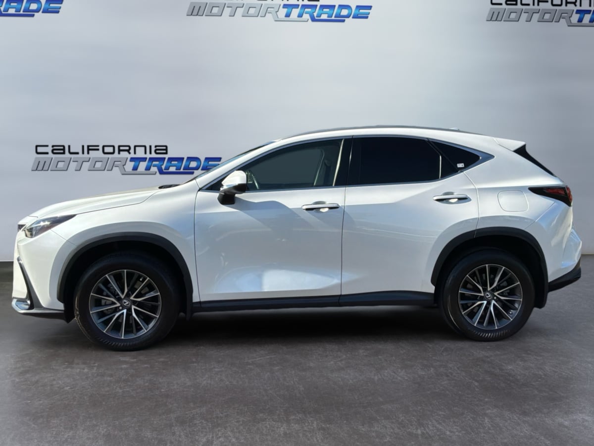 Lexus NX photo 8