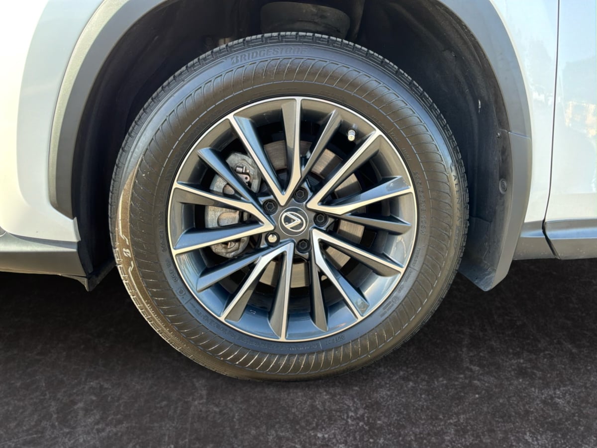 Lexus NX photo 9