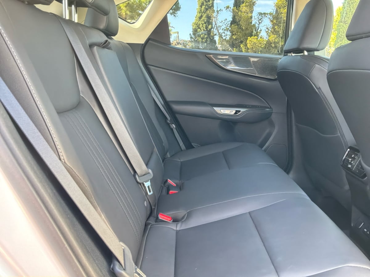 Lexus NX photo 21