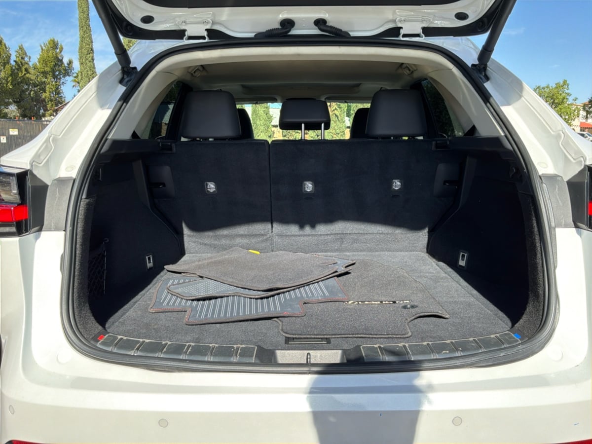 Lexus NX photo 23