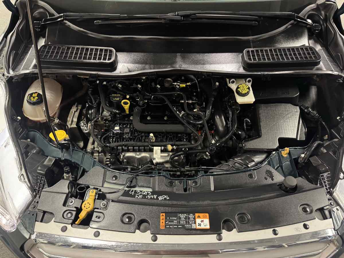 2019 Ford Escape SE photo 55