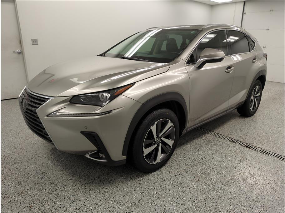 2018 Lexus NX 300 F SPORT photo 3