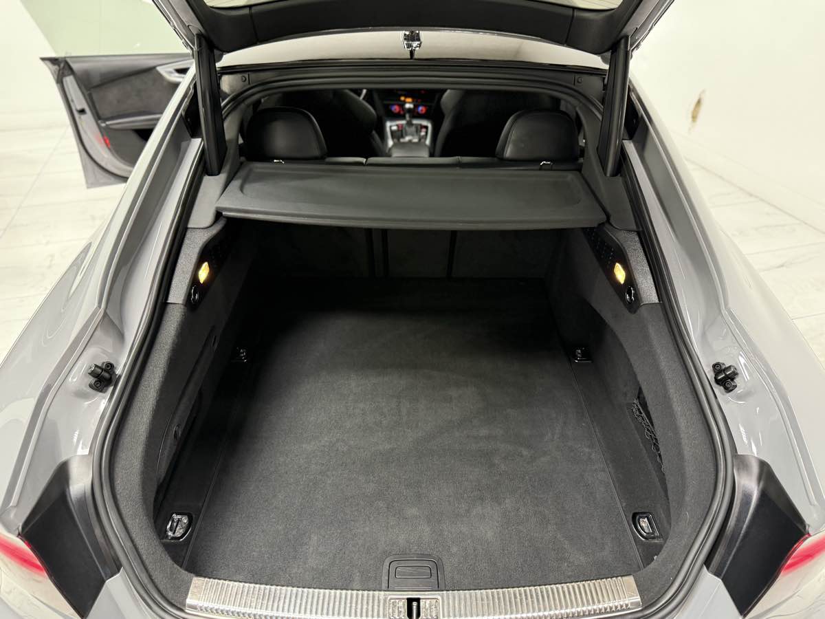 2016 Audi RS 7 Base Performance photo 42