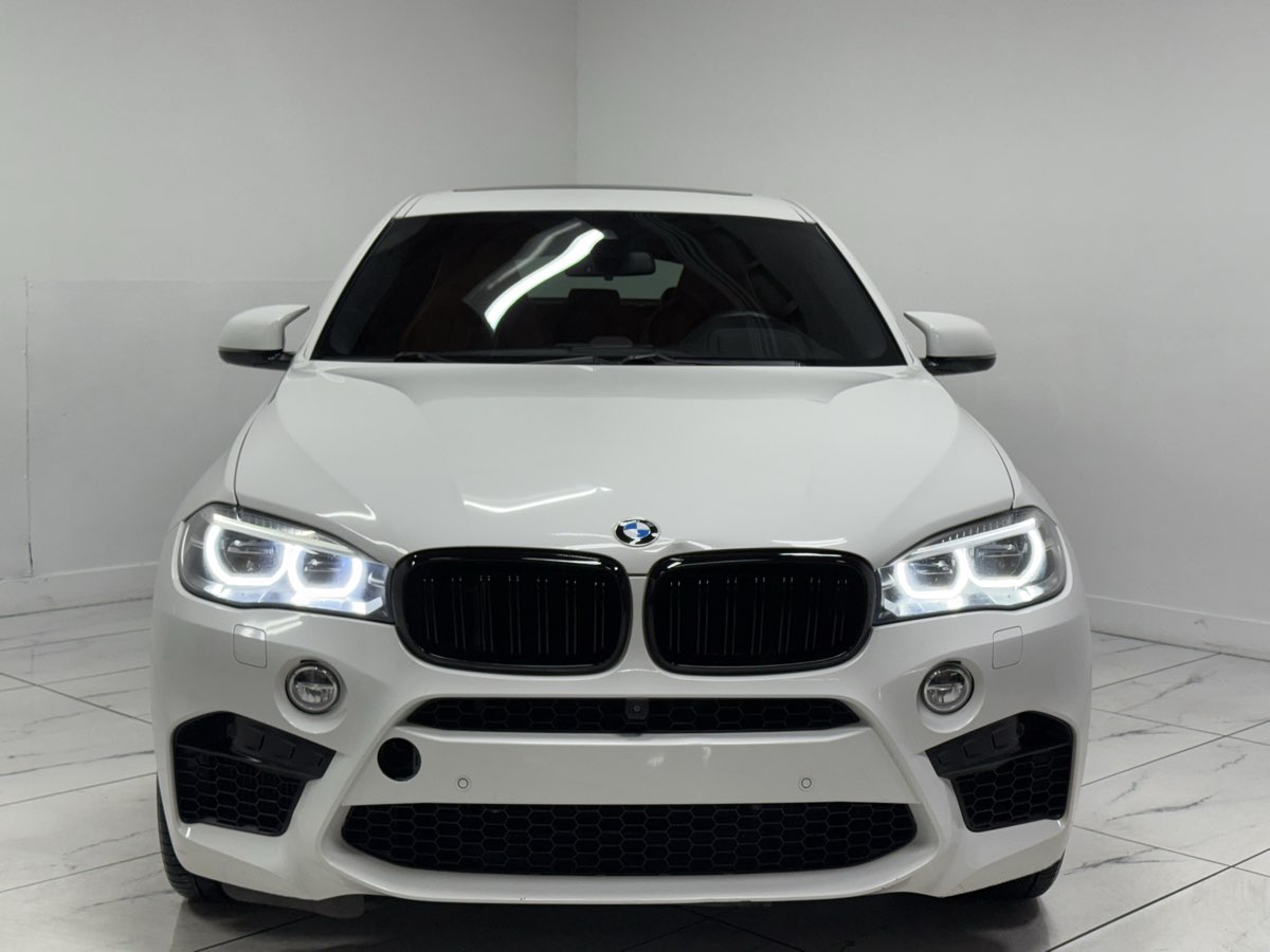 2016 Bmw X6 M xDrive50i photo 2