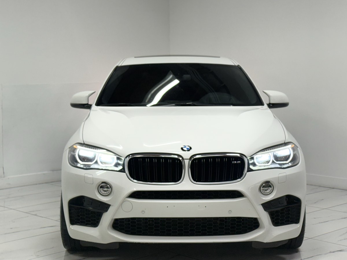 2017 Bmw X6 M photo 3