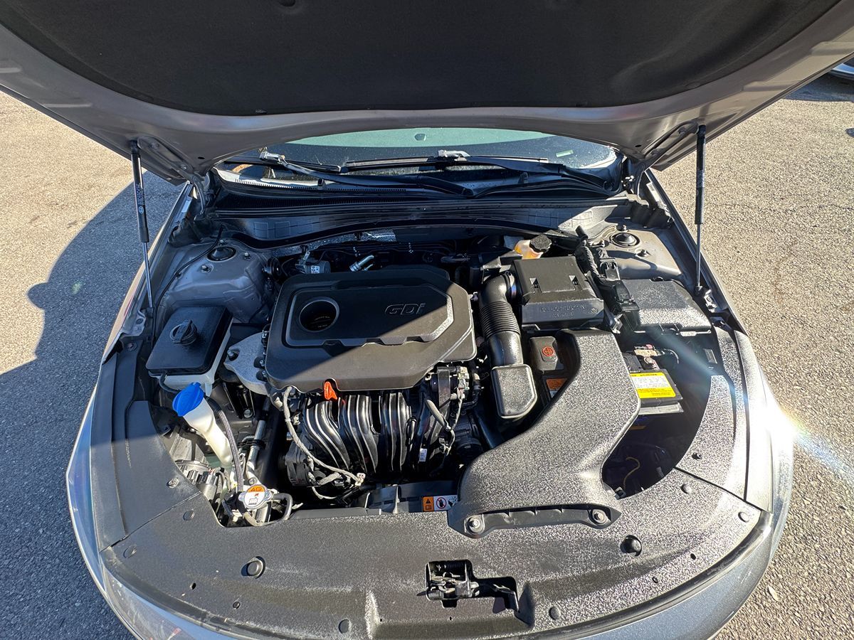 Image #42